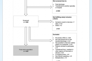 Figure 1. Flow chart of the study population. mRS: modified Rankin Scale; TIA: transient ischaemic attack