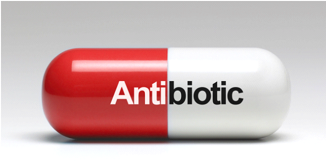 Why antibiotics don’t work in some patients - hospital pharmacist