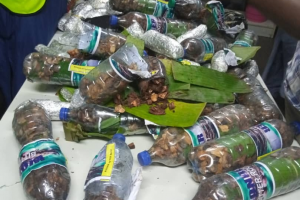 NDLEA arrests student over attempt to smuggle 13.55 kilograms Cannabis to Cyprus