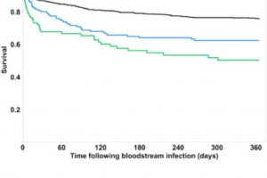 Fig. 2. One-year mortality following bloodstream infection by presence of cardiovascular and cerebrovascular events. AMI: acute myocardial infarction; AIS: acute ischemic stroke. Key: black line: no events; blue line: type 2 AMI; green line: type 1 AMI or AIS. Log-rank p < 0.001.