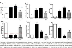 Fig. 1. Phenotype and glucometabolic parameters by glucose tolerance group