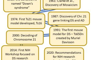 Figure 1. A Brief History of DS research. As noted in this outline, the first known publications focused on children with DS occurred in the mid-1800s. In 1866, Dr. John Langdon Down wrote about “the Great Mongolian Family”, and almost a century later the condition was named after him.