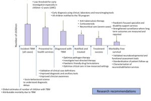 The cascade of care for children with tuberculous meningitis, illustrating how new research developments and optimised programmatic care could reduce drop off at each stage.