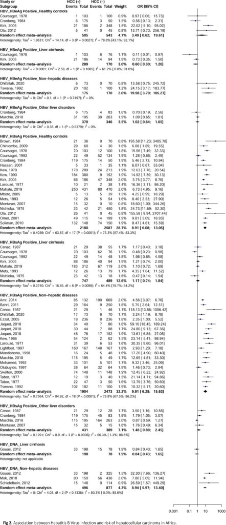 Fig 2. Association between Hepatitis B Virus infection and risk of hepatocellular carcinoma in Africa.