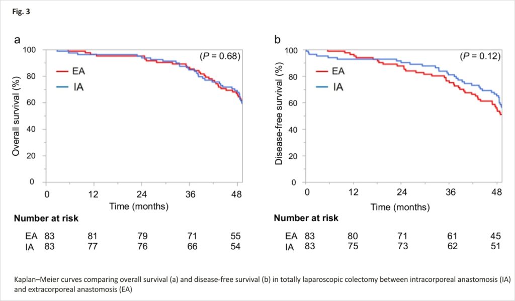 Fig. 3. Kaplan–Meier curves comparing overall survival