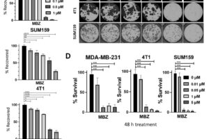 Mebendazole (MBZ) inhibits the proliferation of triple-negative breast cancer (TNBC) cells.