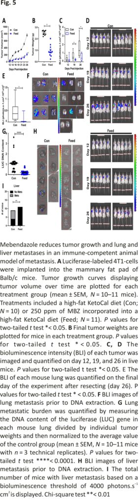 Mebendazole reduces tumor growth and lung and liver metastases in an immune-competent animal model of metastasis. 