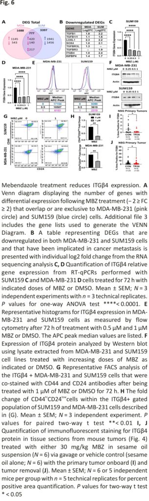 Mebendazole treatment reduces ITGβ4 expression.