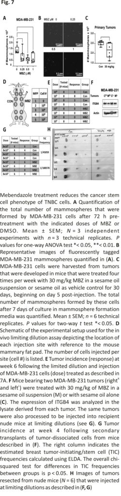 Mebendazole treatment reduces the cancer stem cell phenotype of TNBC cells