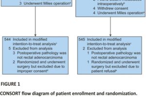 FIGURE 1 CONSORT flow diagram of patient enrollment and randomization.