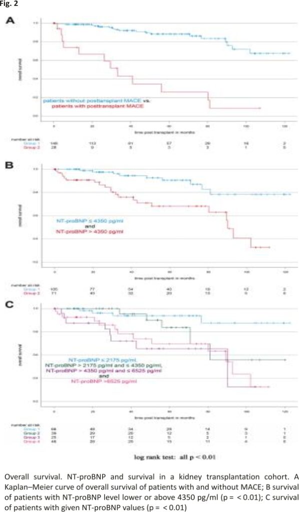 Fig. 2 Overall survival. NT-proBNP and survival in a kidney transplantation cohort. A Kaplan–Meier curve of overall survival of patients with and without MACE; B survival of patients with NT-proBNP level lower or above 4350 pg/ml (p =  < 0.01); C survival of patients with given NT-proBNP values (p =  < 0.01)