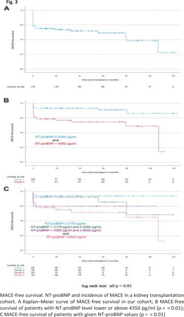 Fig. 3 MACE-free survival. NT-proBNP and incidence of MACE in a kidney transplantation cohort. A Kaplan–Meier curve of MACE-free survival in our cohort; B MACE-free survival of patients with NT-proBNP level lower or above 4350 pg/ml (p =  < 0.01); C MACE-free survival of patients with given NT-proBNP values (p =  < 0.01)