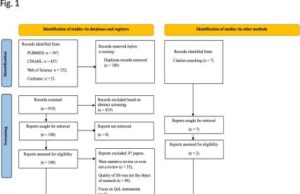 Understanding the impact of endometriosis on women’s life: an integrative review of systematic reviews