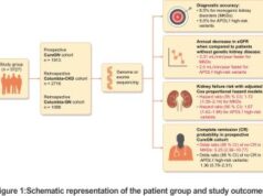 Results of a multi-cohort study on the prognosis of hereditary versus non-genetic renal disease