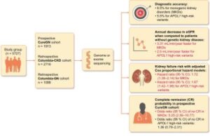 Results of a multi-cohort study on the prognosis of hereditary versus non-genetic renal disease