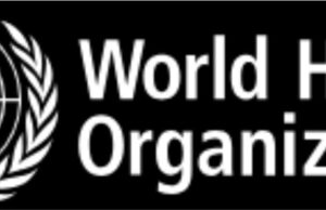 Many pregnancy-related complications go undetected and untreated – WHO