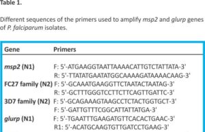 Allelic frequency of msp2 and glurp genes in Plasmodium falciparum isolates from Awka, Anambra, Nigeria