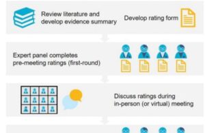 The development of consensus recommendation to improve practice harmonization for Sickle Cell Disease through the National Alliance of Sickle Cell Centers