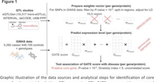 Genome-Wide Aggregated Trans Effects Analysis Identifies Genes Encoding Immune Checkpoints as Core Genes for Rheumatoid Arthritis