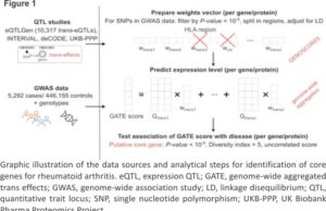 Genome-Wide Aggregated Trans Effects Analysis Identifies Genes Encoding Immune Checkpoints as Core Genes for Rheumatoid Arthritis