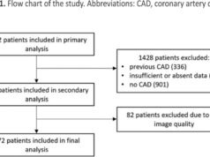 From plaque to event: coronary plaque burden and morphology in predicting adverse cardiovascular outcomes