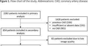 From plaque to event: coronary plaque burden and morphology in predicting adverse cardiovascular outcomes