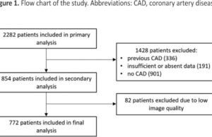 From plaque to event: coronary plaque burden and morphology in predicting adverse cardiovascular outcomes