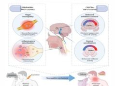 Chronic Cough Hypersensitivity as a Neuropathic Disorder: Implications for Management and New Treatments