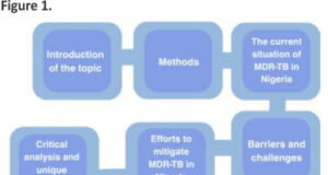 Multidrug-resistant tuberculosis (MDR-TB): an evolving threat to the Nigerian health system – a review