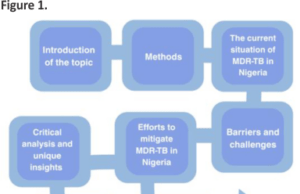 Multidrug-resistant tuberculosis (MDR-TB): an evolving threat to the Nigerian health system – a review