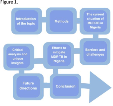 Multidrug-resistant tuberculosis (MDR-TB): an evolving threat to the Nigerian health system – a review