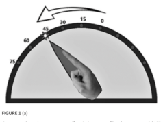 Temporal Discrimination and Proprioceptive Impairment in Parkinson’s Disease: Evidence for Distinct Sensory Dysfunction Mechanisms